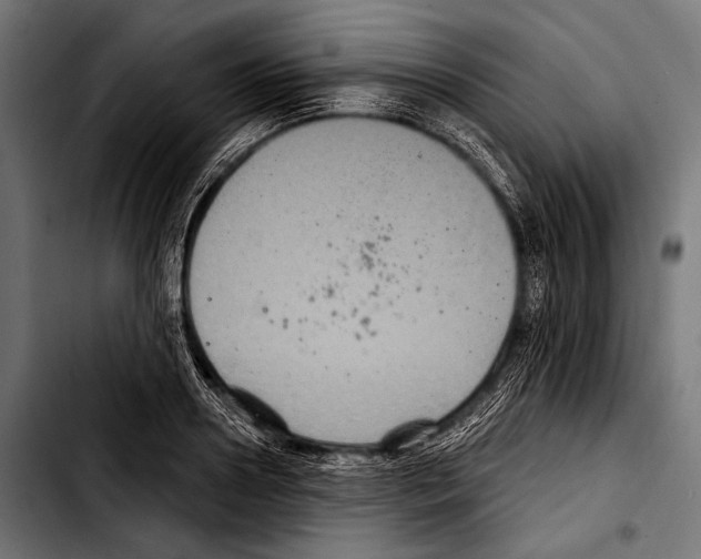 X0000103320938200810171358