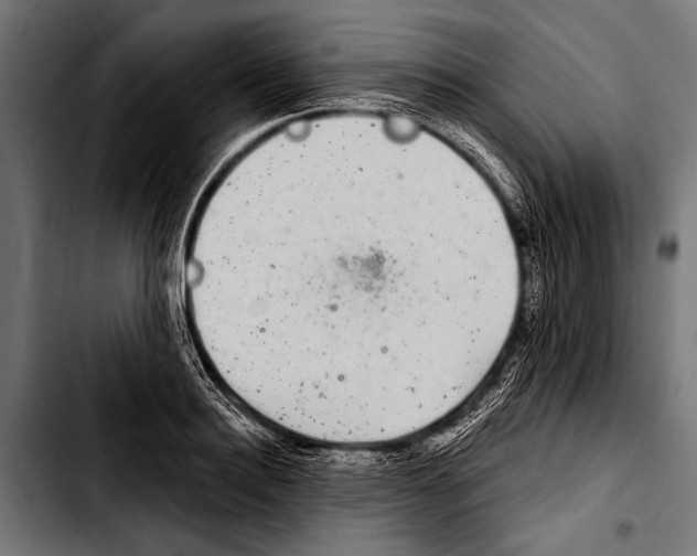 X0000103320940200810171358