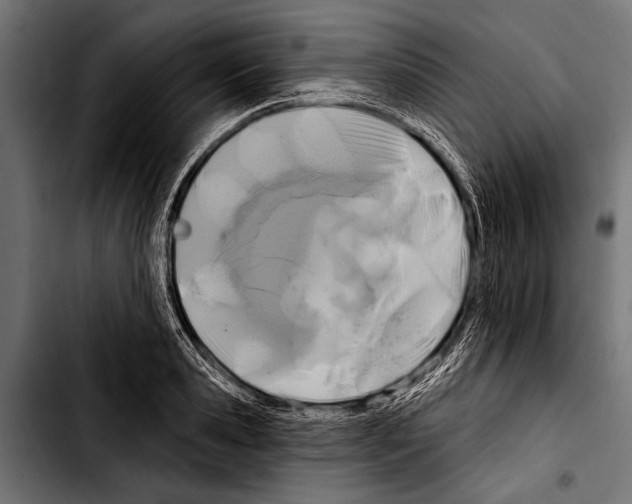 X0000103320941200810171358
