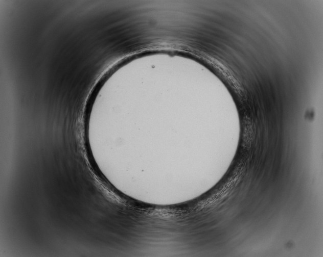 X0000103320942200810171358