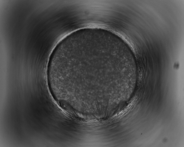 X0000103320943200810171358