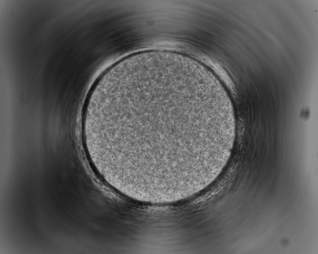 X0000103320944200810171358