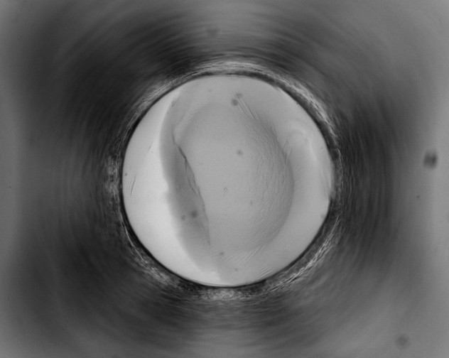 X0000103320945200810171358