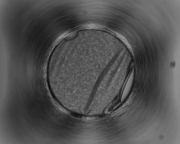 X0000103320946200810171358
