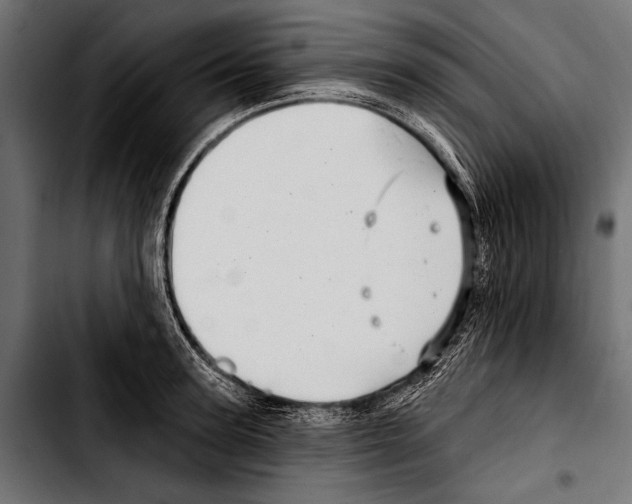 X0000103320947200810171358