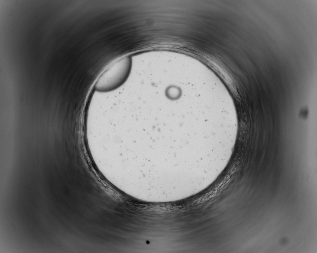 X0000103320948200810171358