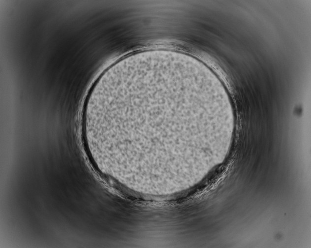 X0000103320949200810171358