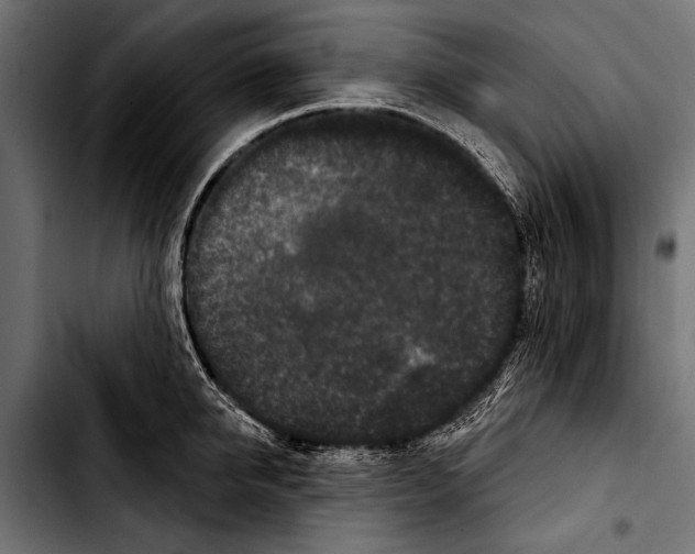 X0000103320950200810171358