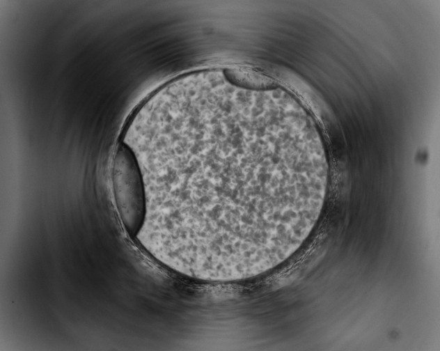 X0000103320952200810171358