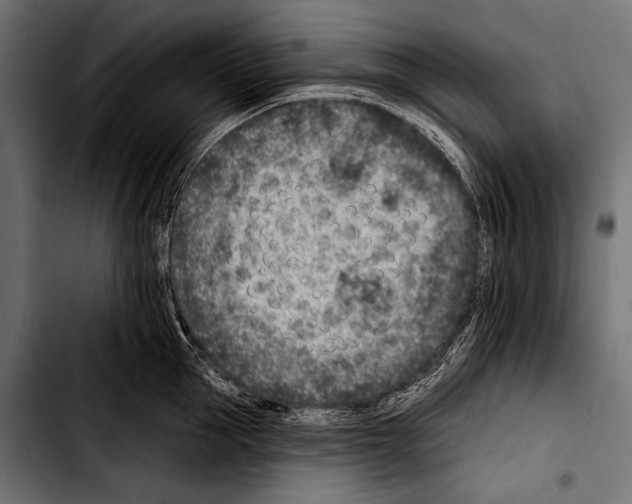 X0000103320953200810171358