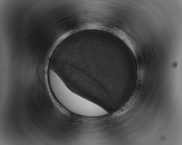 X0000103320954200810171358