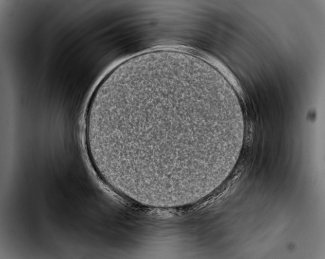 X0000103320955200810171358