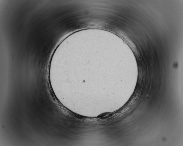 X0000103320956200810171358
