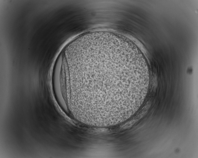 X0000103320957200810171358