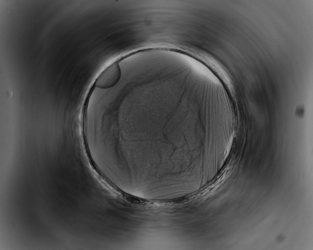 X0000103320958200810171358