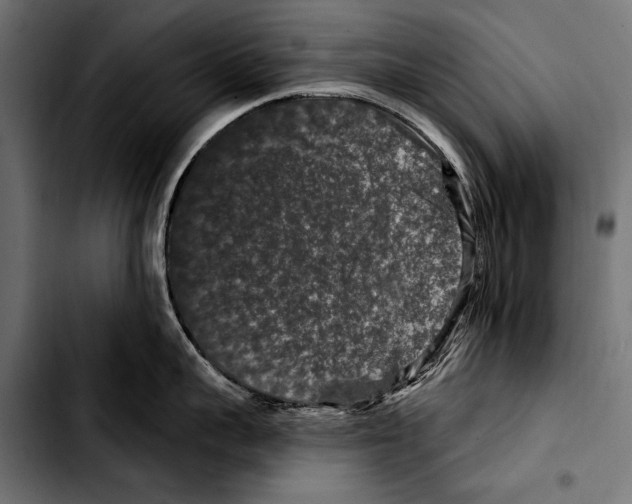 X0000103320959200810171358