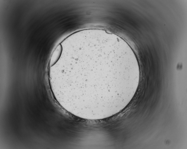 X0000103320960200810171358