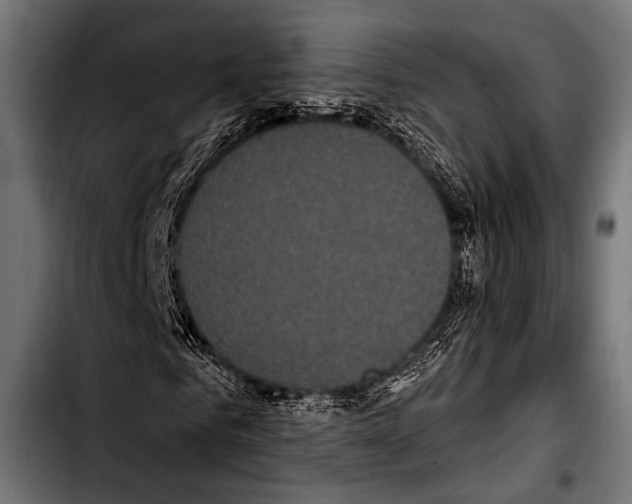 X0000103320961200810171357