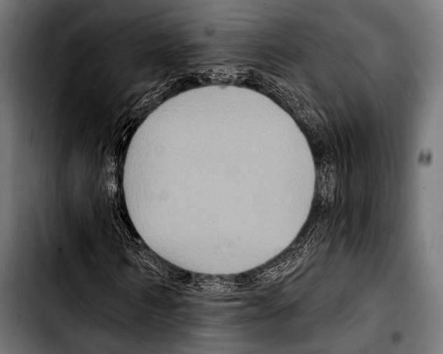 X0000103320962200810171357