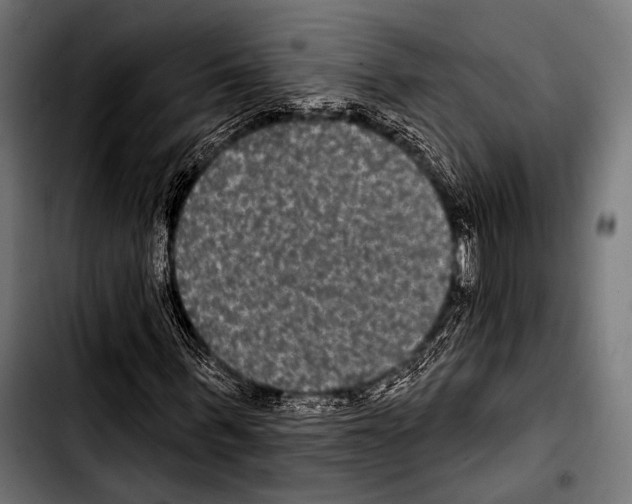 X0000103320963200810171357
