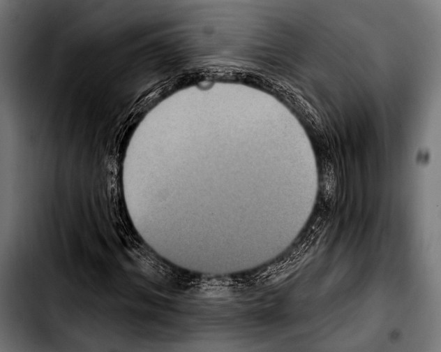 X0000103320964200810171357