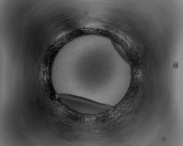 X0000103320965200810171357