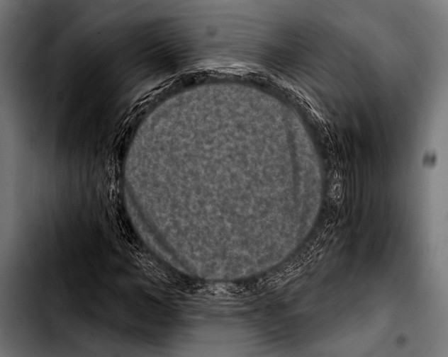 X0000103320966200810171357