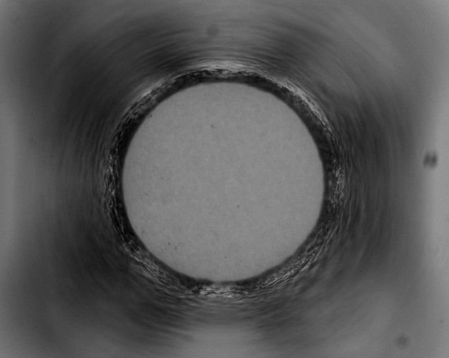 X0000103320967200810171357