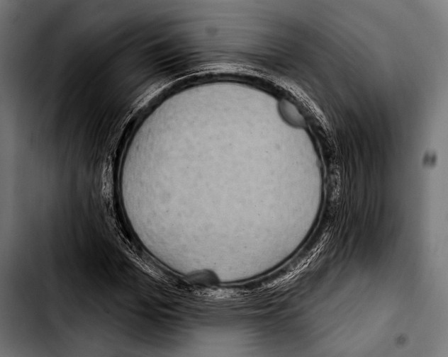 X0000103320969200810171357