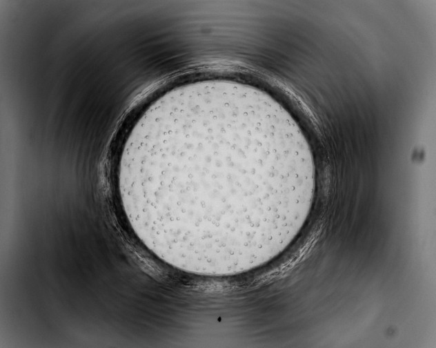 X0000103320970200810171357
