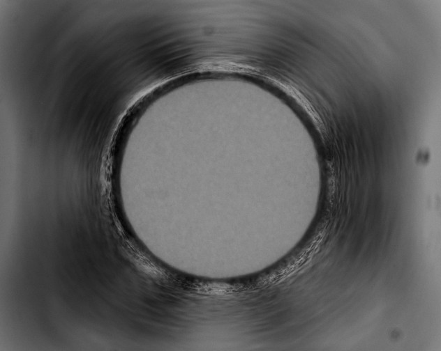 X0000103320971200810171357