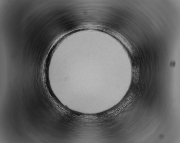 X0000103320972200810171357