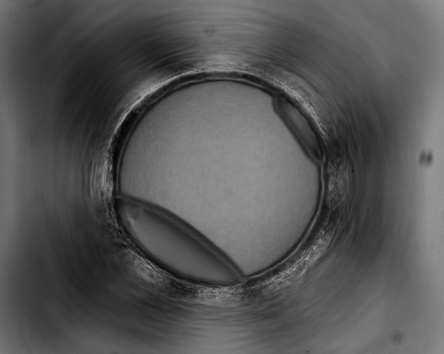 X0000103320973200810171357