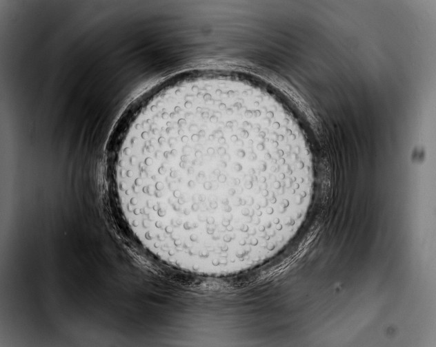X0000103320974200810171357
