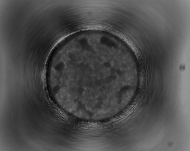 X0000103320975200810171357