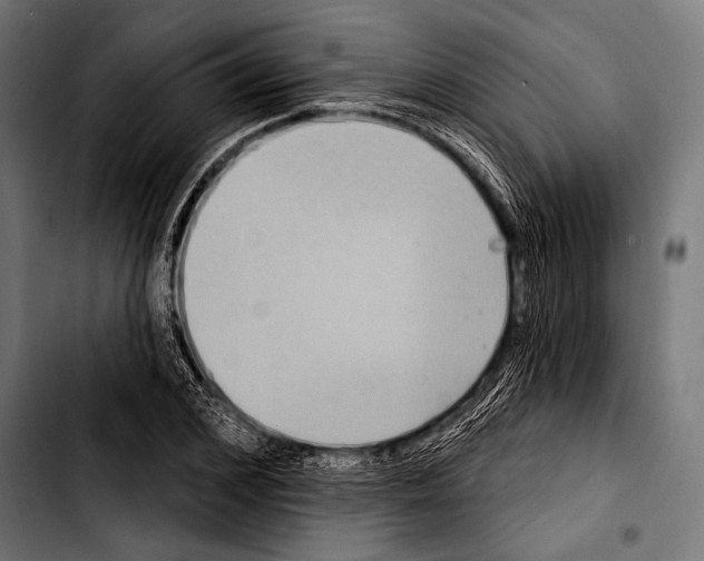X0000103320976200810171357