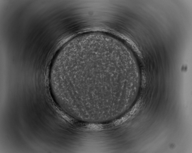 X0000103320977200810171357