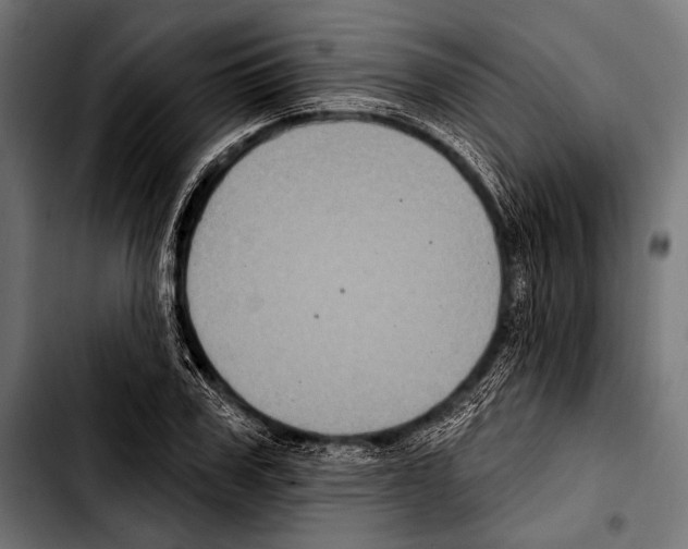 X0000103320979200810171357