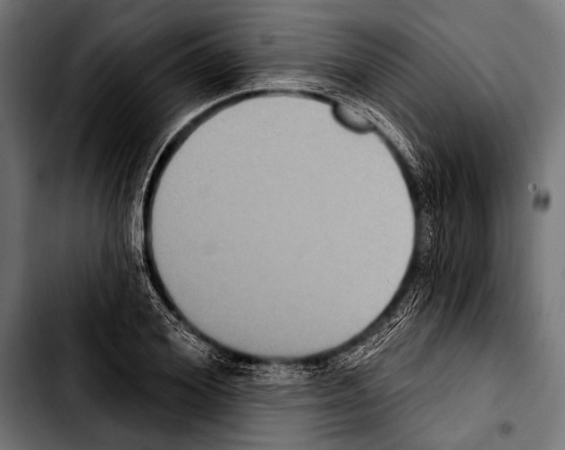 X0000103320980200810171357
