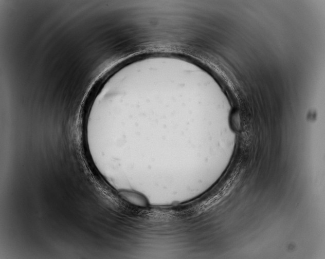 X0000103320981200810171357