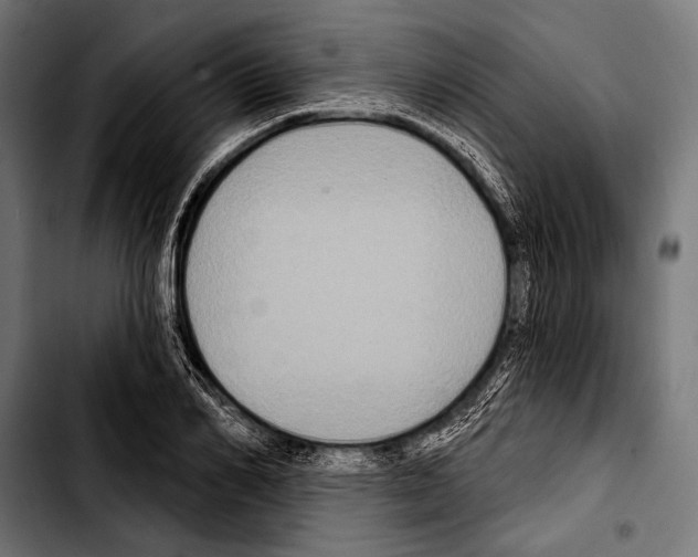 X0000103320982200810171357
