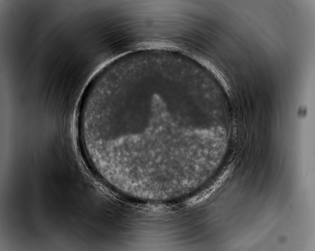 X0000103320983200810171357