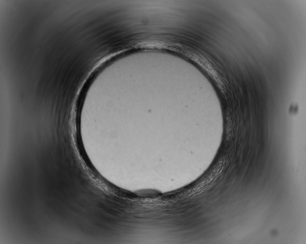 X0000103320984200810171357