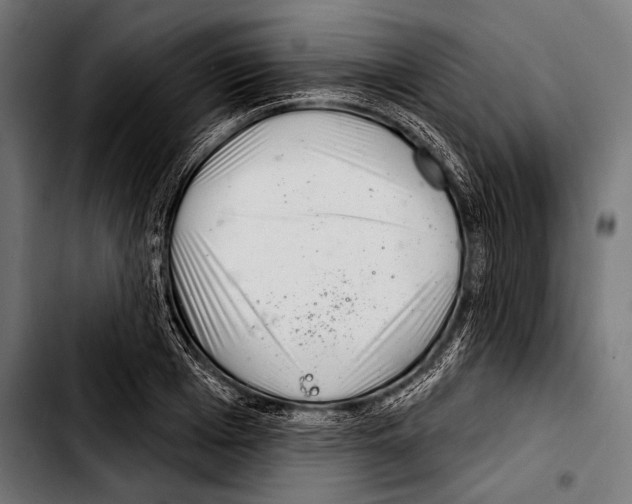 X0000103320985200810171357