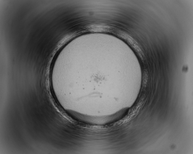 X0000103320986200810171357