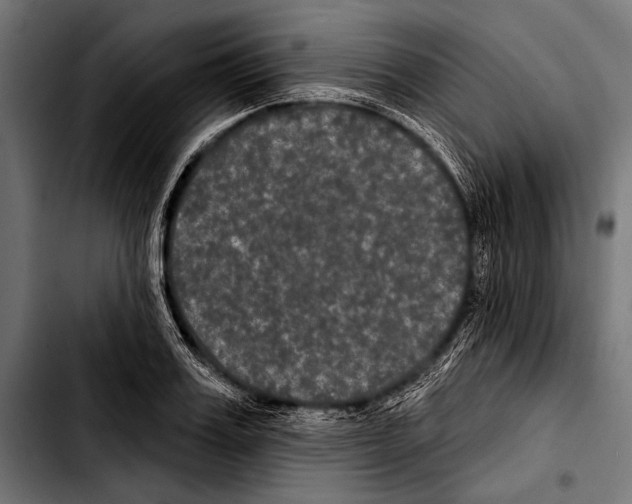 X0000103320987200810171357
