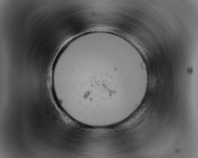 X0000103320988200810171357