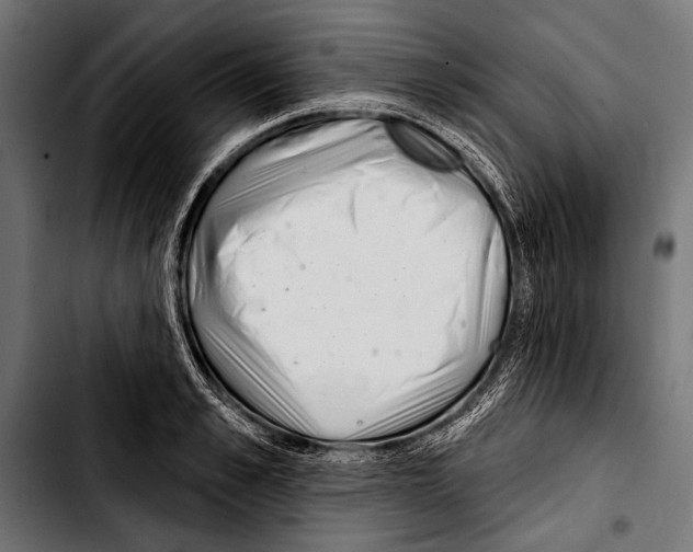 X0000103320989200810171357