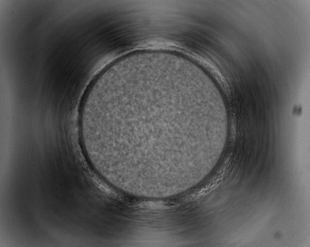 X0000103320990200810171357