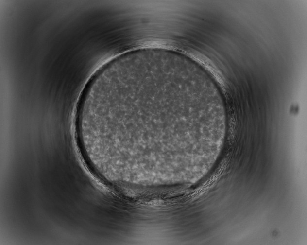 X0000103320991200810171357